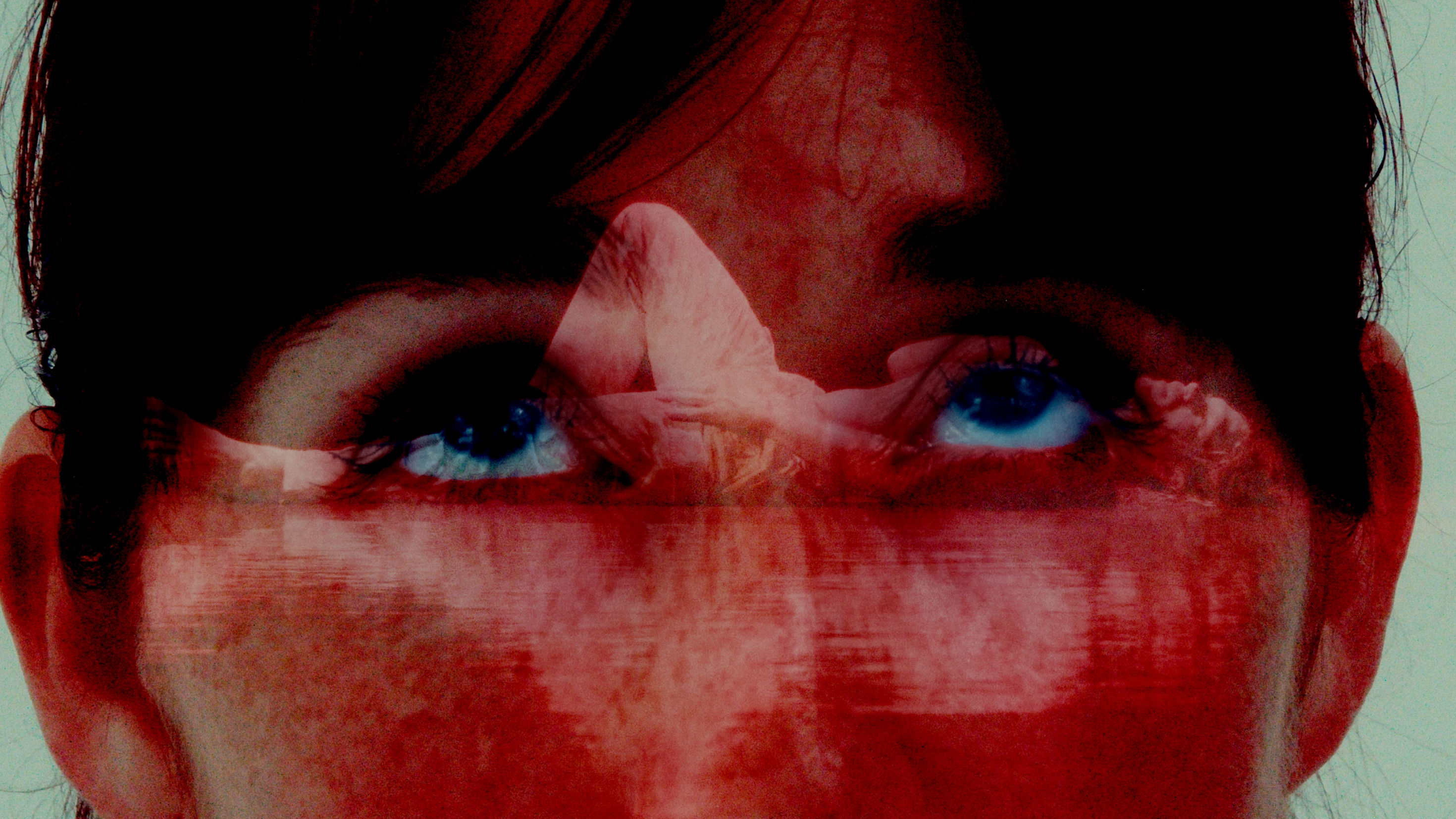 Recent Video Work